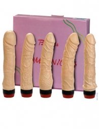 ΣΕΤ ΔΟΝΗΤΩΝ THE MAGNIFICENT 5