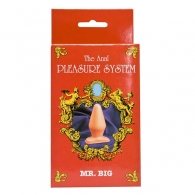 Πρωκτική Σφήνα The Anal Pleasure System