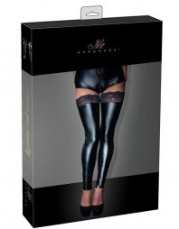 Shiny Matte Stocking with Lace
