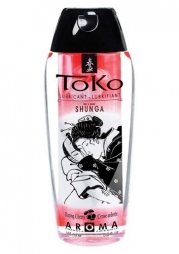 Πρωκτικό Λιπαντικό Shunga Toko Cherry Flavored Water Based Lubri
