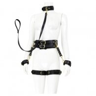 Premium Fetish Collection complete 6 piece set Black-Gold