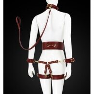 Premium Fetish Collection complete 6 piece set Wine red-Gold
