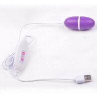12-Speed USB Power Purple Color Vibrating Egg