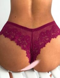 Plus Size High Quality Wine Red Sexy Floral Lace Panty