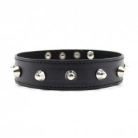Collare spikes collar black